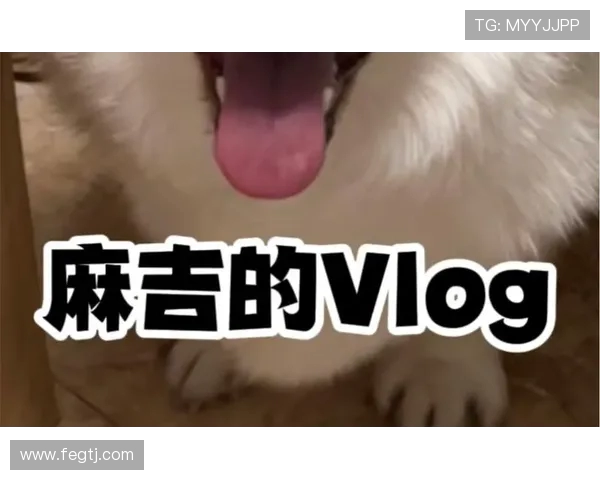 WST 鍒嗘。寮曠儹璁細濂ユ矙鍒╂枃浜ㄥ痉鍒╁苟鍒楃涓€锛屼竵淇婃櫀璧靛績绔ュ垎鍒楀洓浜旀。 WST 鍒嗘。寮曠儹璁細濂ユ矙鍒╂枃浜ㄥ痉鍒╁苟鍒楃涓€锛屼竵淇婃櫀璧靛績绔ュ垎鍒楀洓浜旀。